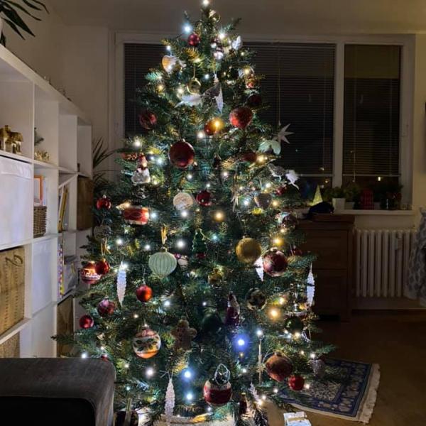 Jedle (2020)