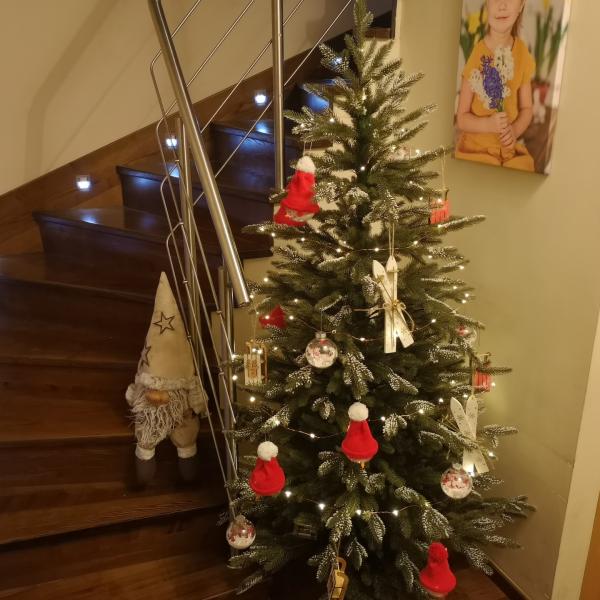 Smrk Norský pe 180 (2018)