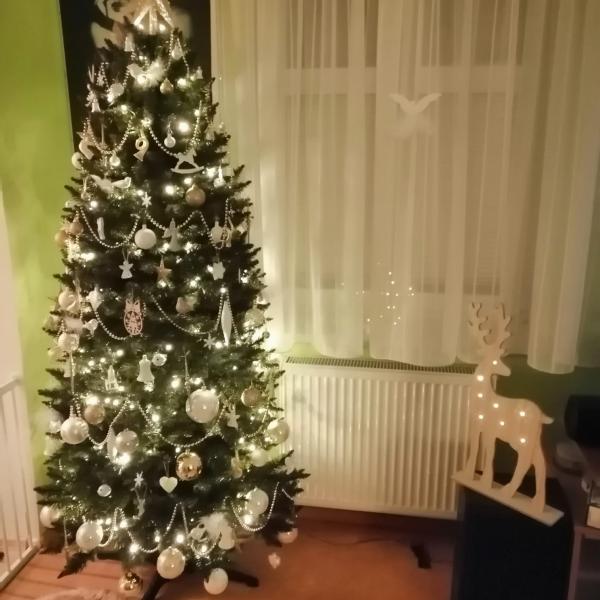 Smrk úzký (2020)